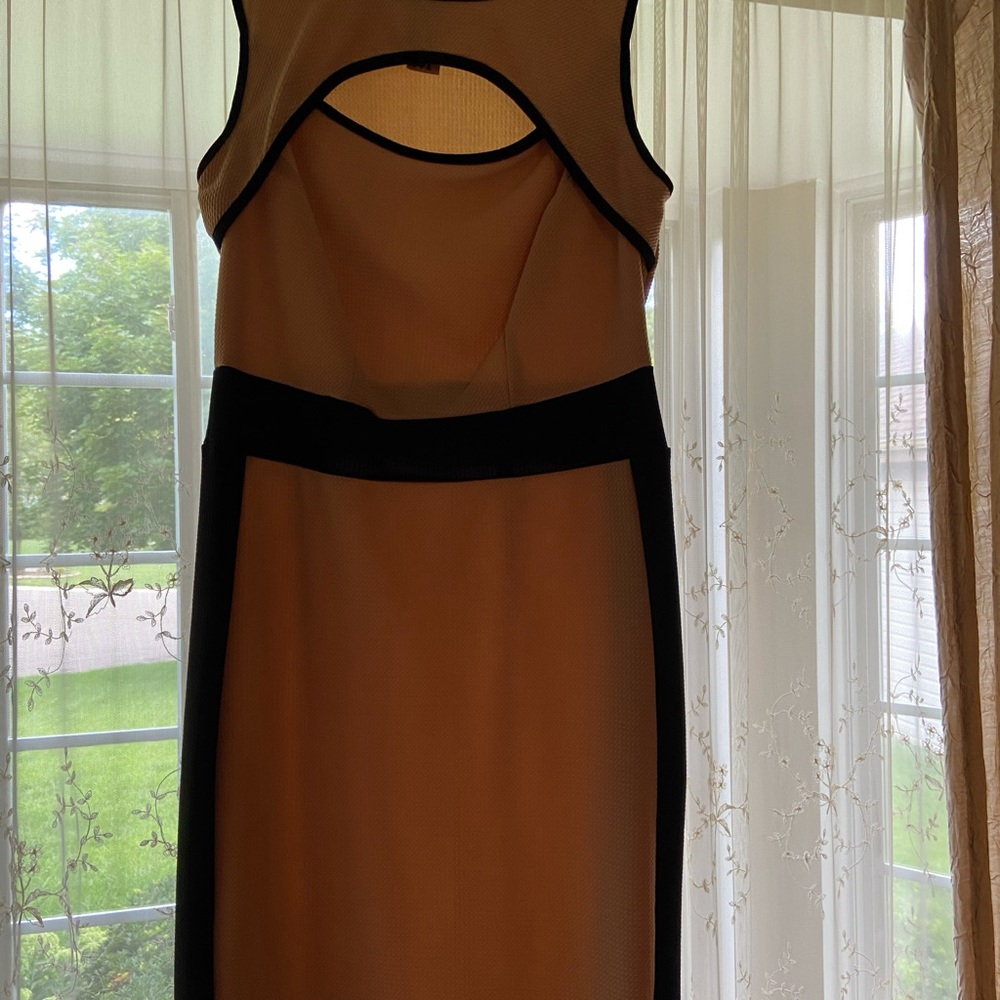 Women (plus size) Tan with Black Trim Dress - Picture 8 of 9